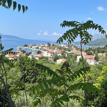 Apartment Davor Gradac  Εξωτερικό φωτογραφία