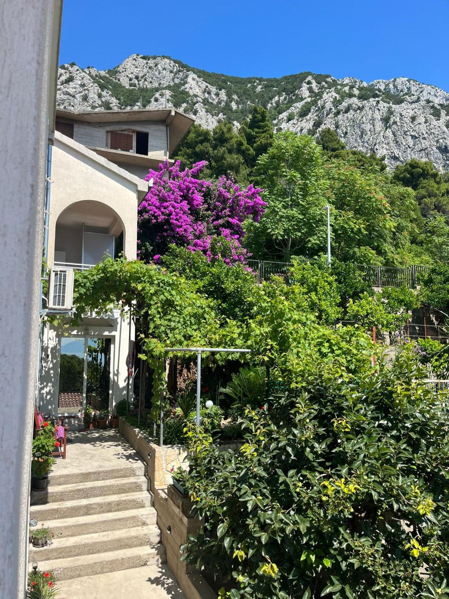 Apartment Davor Gradac  Εξωτερικό φωτογραφία