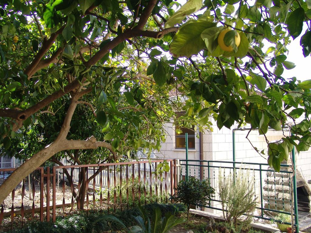 Apartment Davor Gradac  Δωμάτιο φωτογραφία